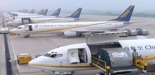 你以為他慢，那是MAN 城市配送運輸服務的精準與從容